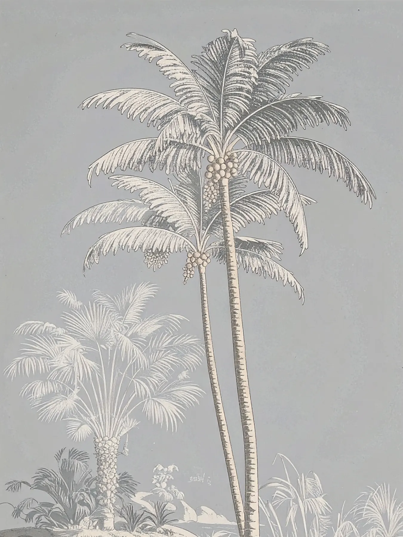 Digital study image 02